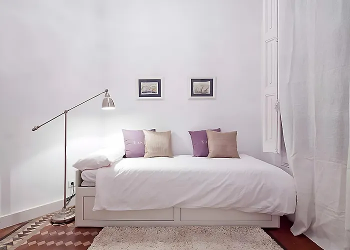 Flateli Universitat Barcelona